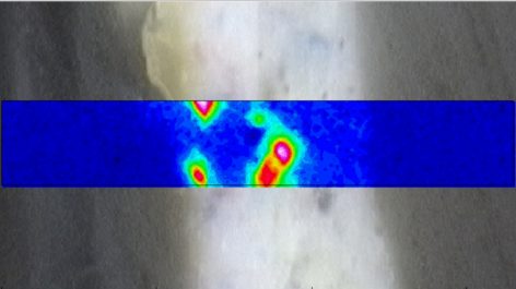 application-example-pharmaceuticals-hyperionii-bopt-cml.jpeg 